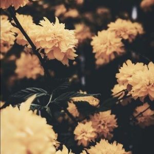 Meet your Posher, Annabella